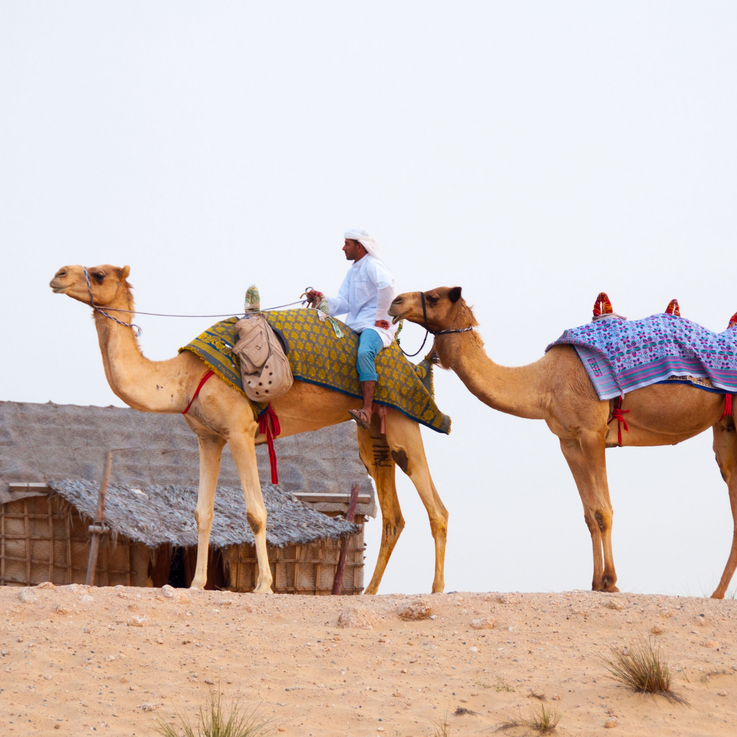 Tour a Turquía y Dubai Año Nuevo 2026 (vuelos incluidos)